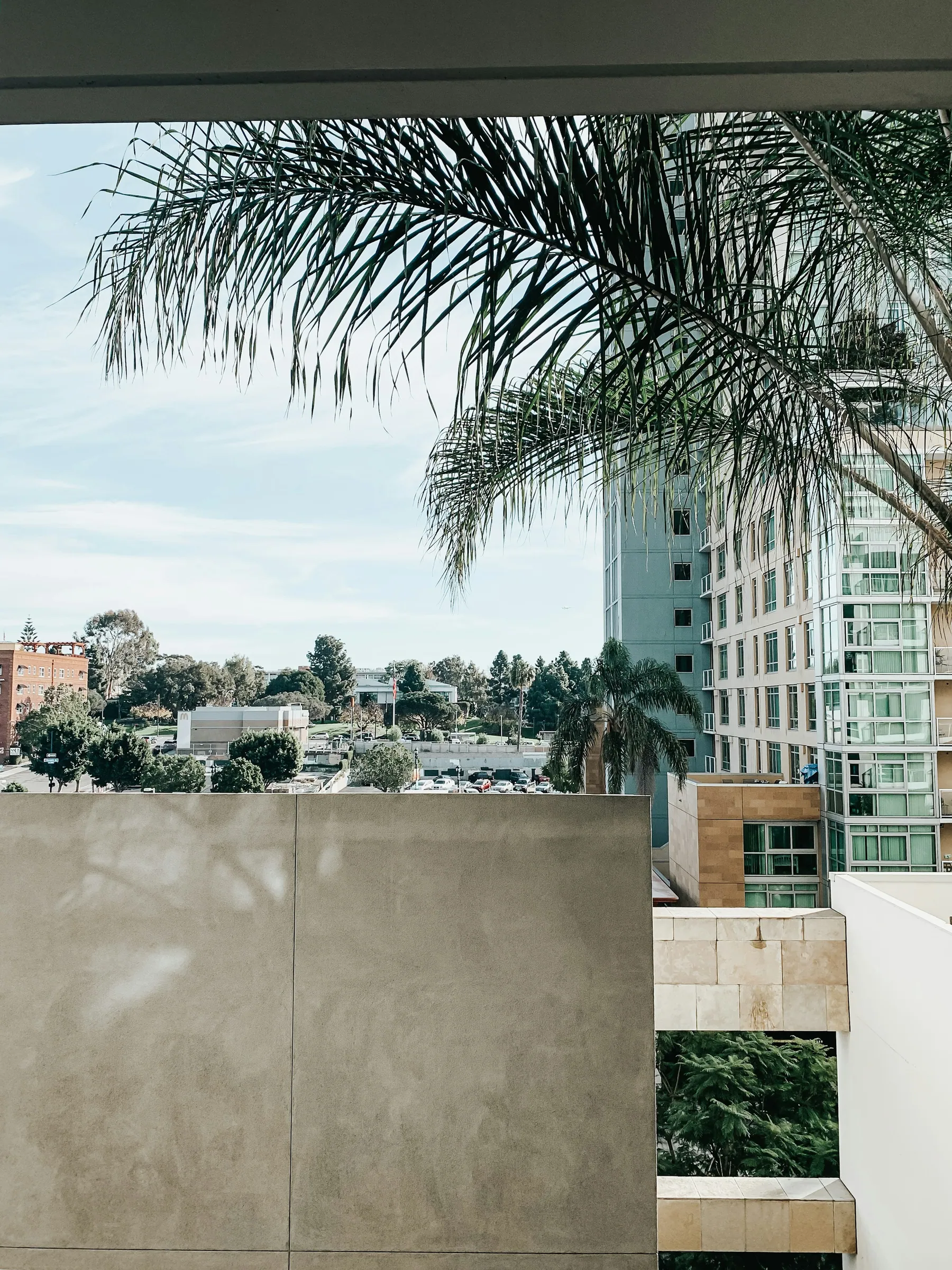 Apartment architecture and palms in San Diego